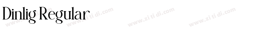 Dinlig Regular字体转换 Dinlig Regular字体转换